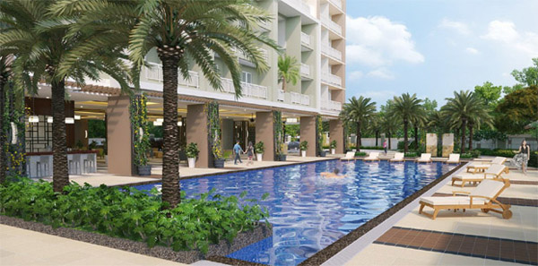 The Celandine in Quezon City