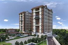 Sierra Valley Gardens